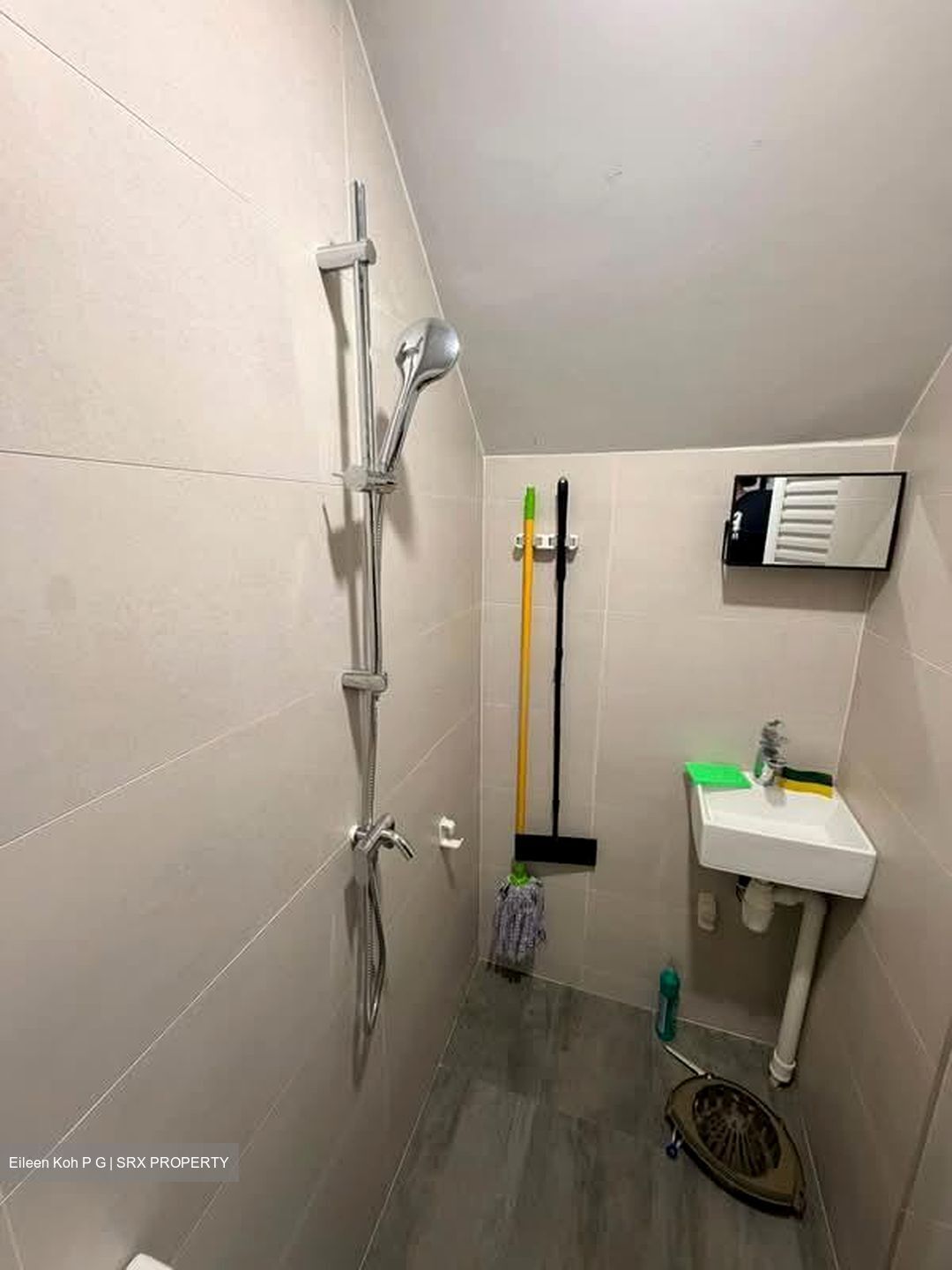 Loft @ Rangoon (D8), Apartment #592743151